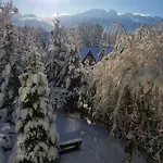 Mountain View *