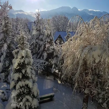 Mountain View *