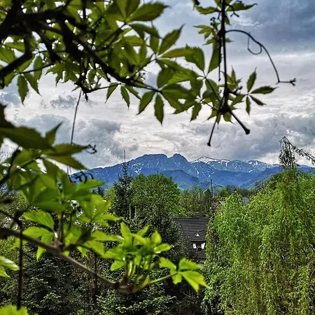 Mountain View *